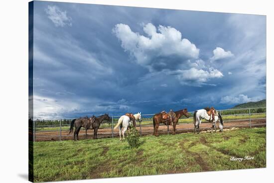 Storm Warning (color)-Barry Hart-Stretched Canvas