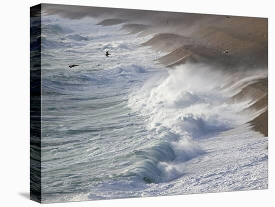 Storm Waves At Chesil Beach-Adrian Bicker-Premier Image Canvas