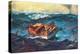 Storm-Winslow Homer-Stretched Canvas