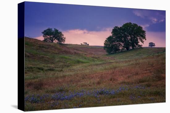 Stormy Afternoon Hills, Paso Robles, California-null-Premier Image Canvas