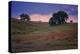 Stormy Afternoon Hills, Paso Robles, California-null-Premier Image Canvas