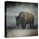 Stormy Day Buffalo-Jai Johnson-Premier Image Canvas