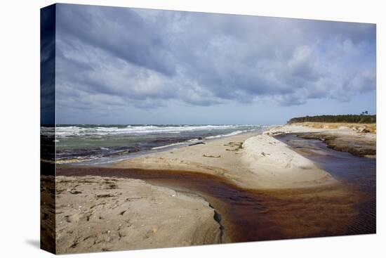 Stormy Day on the Western Beach of Darss Peninsula-Uwe Steffens-Premier Image Canvas