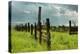 Stormy Ranch-Vincent James-Premier Image Canvas