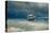 Stormy Sea-Ivan Konstantinovich Aivazovsky-Premier Image Canvas