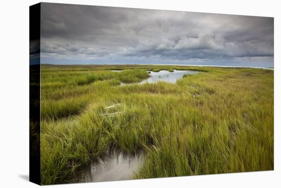 Stormy Skies Hang Over The Marshlands Surrounding Smith Island In The Chesapeake Bay-Karine Aigner-Premier Image Canvas