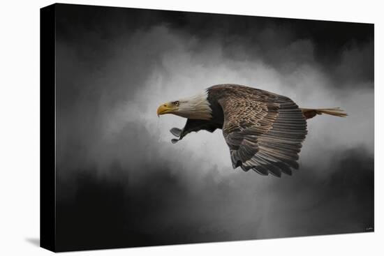 Stormy Sky Flight-Jai Johnson-Premier Image Canvas