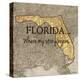 Story Florida-Tina Carlson-Stretched Canvas