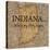 Story Indiana-Tina Carlson-Stretched Canvas