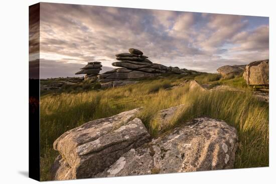 Stowe's Hill in evening light, Bodmin Moor, Cornwall, UK-Ross Hoddinott-Premier Image Canvas