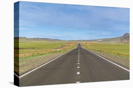 Straight paved road, Bayandalai district, South Gobi province, Mongolia, Central Asia, Asia-Francesco Vaninetti-Premier Image Canvas