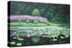 Stratford Marsh-Bruce Dumas-Premier Image Canvas