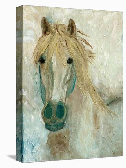 Straw Horse-Cody Alice Moore-Stretched Canvas