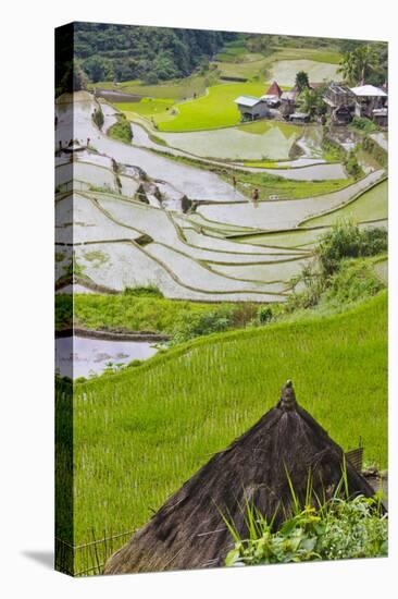 Straw Hut and Rice Terraces, Philippine Cordilleras, Banaue, Philippines-Keren Su-Premier Image Canvas