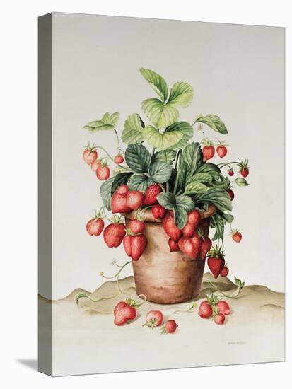 Strawberries in a Pot, 1998-Amelia Kleiser-Premier Image Canvas