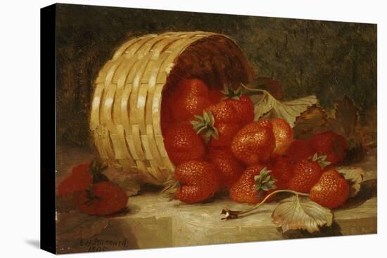 Strawberries in a Wicker Basket on a Ledge, 1895-Eloise Harriet Stannard-Premier Image Canvas