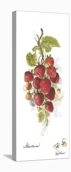 Strawberries-Peggy Abrams-Stretched Canvas