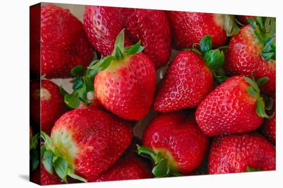 Strawberrries-monysasi-Premier Image Canvas