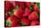 Strawberrries-monysasi-Premier Image Canvas
