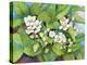 Strawberry Patch - B. Flowering-Joanne Porter-Premier Image Canvas