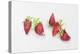 Strawberry Patch - C. Ripe Berries Whole-Joanne Porter-Premier Image Canvas