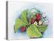 Strawberry Patch - E. Sample Berries-Joanne Porter-Premier Image Canvas