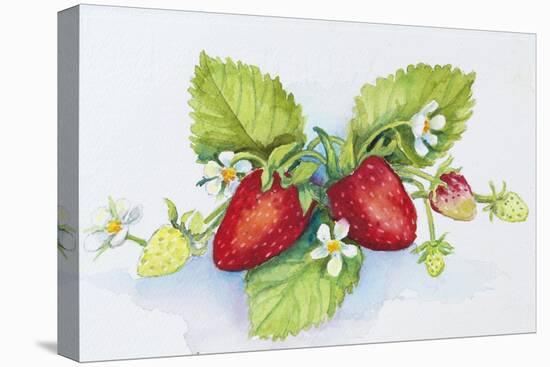 Strawberry Patch - F. Berry Border-Joanne Porter-Premier Image Canvas
