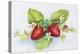 Strawberry Patch - F. Berry Border-Joanne Porter-Premier Image Canvas