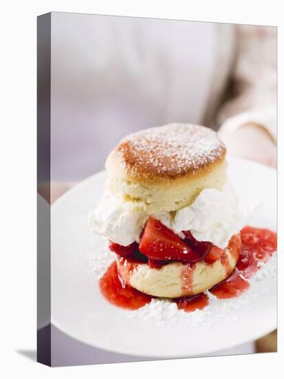 Strawberry Shortcake with Cream-null-Premier Image Canvas