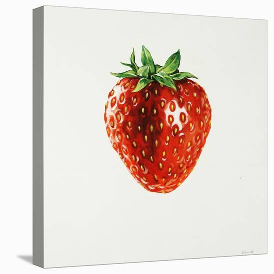 Strawberry-Sydney Edmunds-Premier Image Canvas