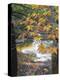 Stream and Fall Foliage, New Hampshire, USA-Nancy Rotenberg-Premier Image Canvas