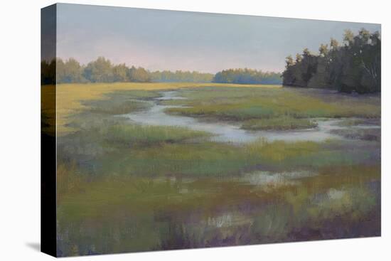 Stream and Sky Countryside-Jill Schultz McGannon-Stretched Canvas