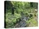 Stream And Woodland In Devon-Adrian Bicker-Premier Image Canvas