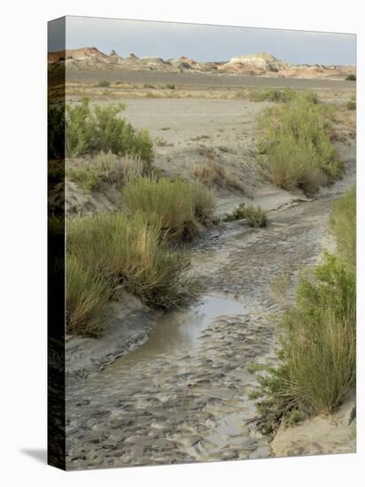 Stream Bed in the Bisti Wilderness, an Arid Area Near the Four Corners, New Mexico-null-Premier Image Canvas