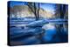 Stream Course in Winter Scenery, Triebtal, Vogtland, Saxony, Germany-Falk Hermann-Premier Image Canvas