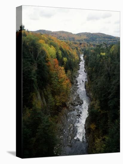 Stream Flowing in a Forest, Quechee Gorge, Windsor County, Vermont, USA-null-Premier Image Canvas