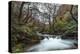 Stream Flowing Through Woodland in England-Clive Nolan-Premier Image Canvas