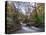 Stream Flowing Through Woodland in England-Clive Nolan-Premier Image Canvas