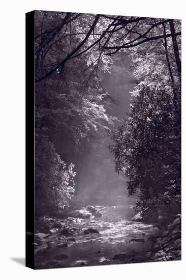 Stream Light BW-Steve Gadomski-Premier Image Canvas