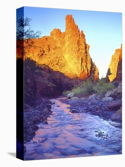 Stream Near Fisher Towers, Utah, USA-Christopher Talbot Frank-Premier Image Canvas