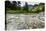 Stream, Rocks, Rushing Water, Glacier National Park, Montana-Yitzi Kessock-Premier Image Canvas