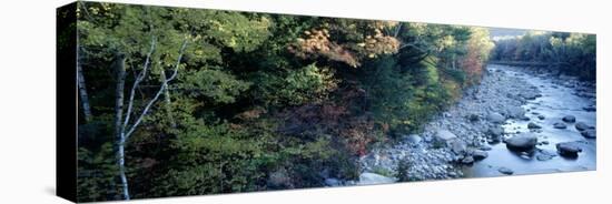 Stream Through White Mountains, NH-Peter Adams-Premier Image Canvas