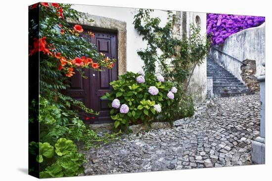 Street Along Obidos, Leiria, Portugal-Julie Eggers-Premier Image Canvas