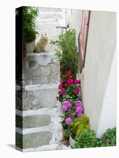 Street Detail, Vathy, Samos, Aegean Islands, Greece-Walter Bibikow-Premier Image Canvas