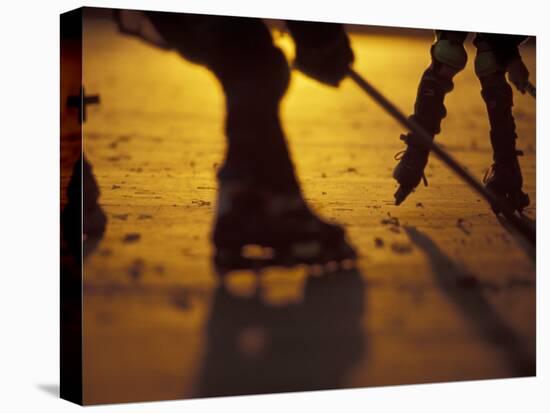 Street Hockey-Lee Kopfler-Premier Image Canvas