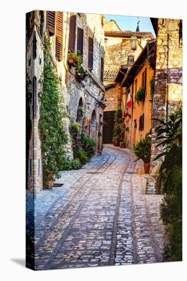 Street in Spello, Italy-Terry Eggers-Premier Image Canvas