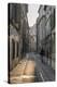 Street in the Old Town of Avignon, Vaucluse, Provence, France,-Bernd Wittelsbach-Premier Image Canvas