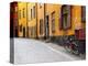 Street Scene in Gamla Stan Section with Bicycle and Mailbox, Stockholm, Sweden-Nancy & Steve Ross-Premier Image Canvas