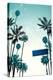 Street Sign and Palms-Lantern Press-Stretched Canvas