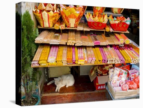 Street Stall, Guangzhou, Guangdong, China-Charles Bowman-Premier Image Canvas